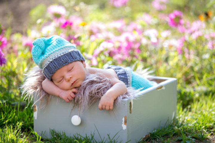 Cute newborn baby boy, sleeping peacefully in basket in garden