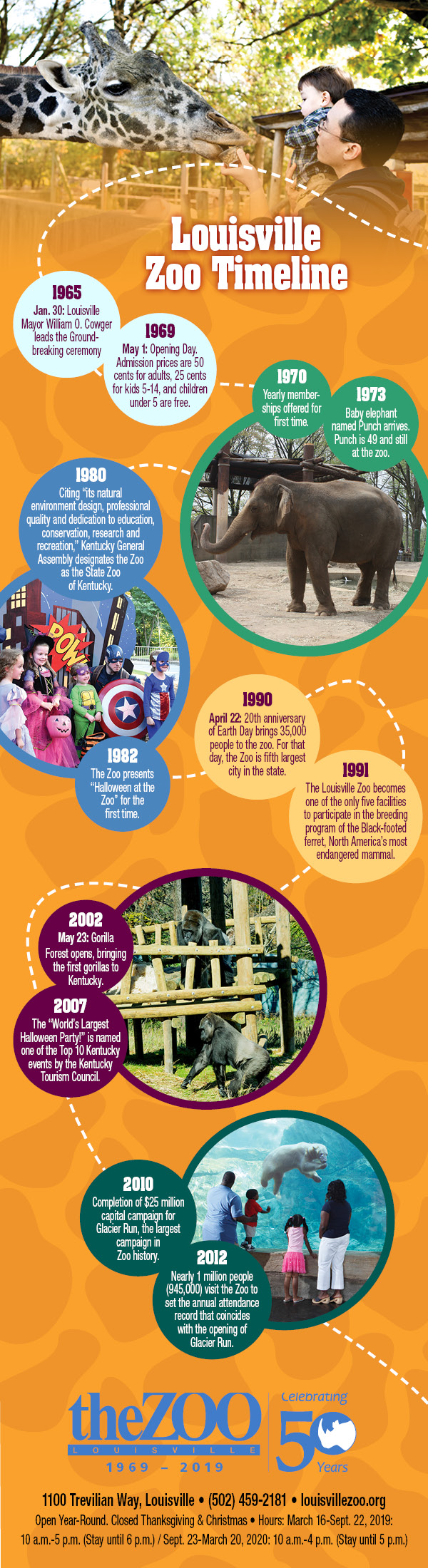 Lexington Family Louisville Zoo Timeline